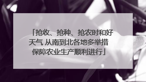 抢收、抢种、抢农时和好天气 从南到北各地多举措保障农业生产顺利进行