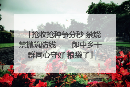 抢收抢种争分秒 禁烧禁抛筑防线——郎中乡干群同心守好 粮袋子