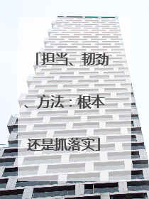 担当、韧劲、方法：根本还是抓落实