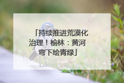 持续推进荒漠化治理！榆林：黄河弯下绘青绿