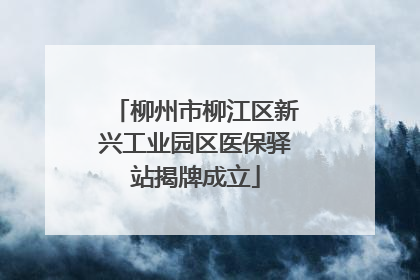 柳州市柳江区新兴工业园区医保驿站揭牌成立