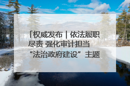 权威发布｜依法履职尽责 强化审计担当 “法治政府建设”主题系列新闻发布会市审计局专场召开