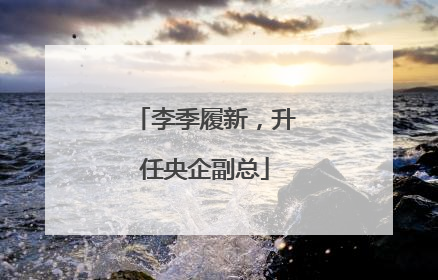 李季履新，升任央企副总