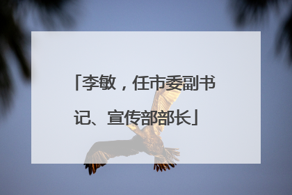 李敏，任市委副书记、宣传部部长