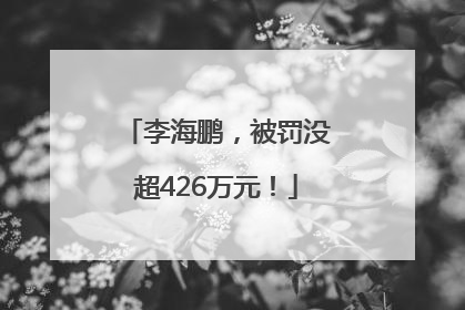 李海鹏，被罚没超426万元！