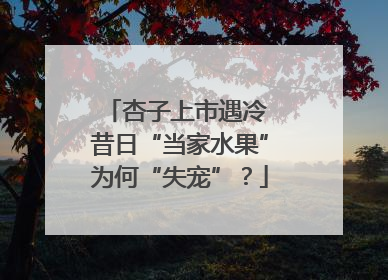 杏子上市遇冷 昔日“当家水果”为何“失宠”？