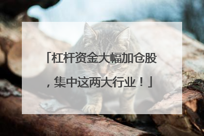 杠杆资金大幅加仓股，集中这两大行业！