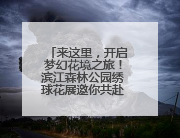 来这里，开启梦幻花境之旅！滨江森林公园绣球花展邀你共赴一场与云朵、花儿的浪漫之约