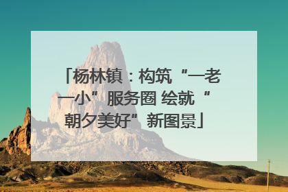 杨林镇：构筑“一老一小”服务圈 绘就“朝夕美好”新图景
