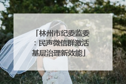 林州市纪委监委：民声微信群激活基层治理新效能