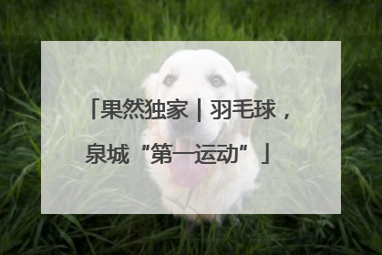 果然独家｜羽毛球，泉城“第一运动”
