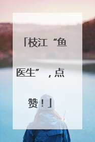 枝江“鱼医生”，点赞！