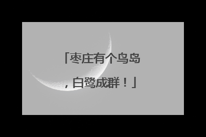 枣庄有个鸟岛，白鹭成群！