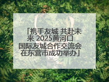 携手友城 共赴未来 2025黄河口国际友城合作交流会在东营市成功举办
