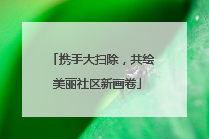 携手大扫除，共绘美丽社区新画卷
