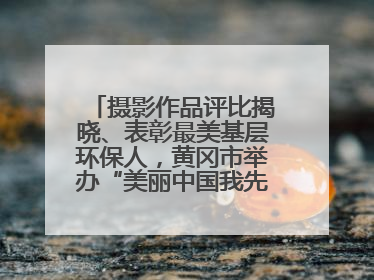 摄影作品评比揭晓、表彰最美基层环保人，黄冈市举办“美丽中国我先行”六五环境日主题宣传活动