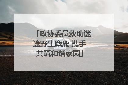 政协委员救助迷途野生麋鹿 携手共筑和谐家园