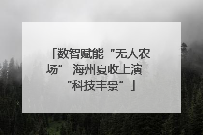 数智赋能“无人农场” 海州夏收上演“科技丰景”