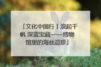 文化中国行丨浪起千帆 深蓝宝藏——博物馆里的海丝遗珍