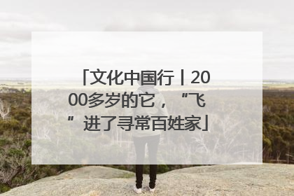 文化中国行丨2000多岁的它，“飞”进了寻常百姓家