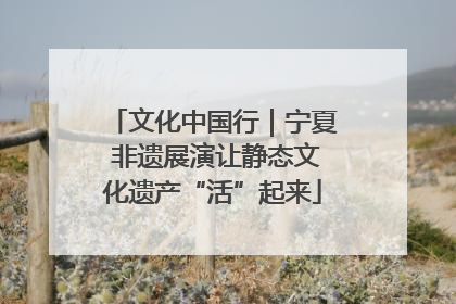 文化中国行｜宁夏 非遗展演让静态文化遗产“活”起来