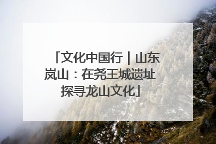 文化中国行｜山东岚山：在尧王城遗址探寻龙山文化