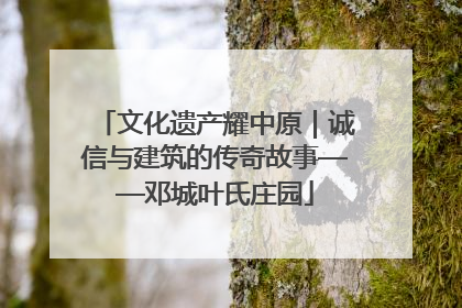 文化遗产耀中原｜诚信与建筑的传奇故事——邓城叶氏庄园