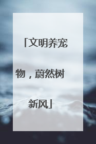 文明养宠物，蔚然树新风