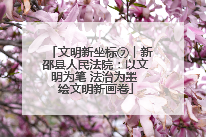 文明新坐标②丨新邵县人民法院：以文明为笔 法治为墨 绘文明新画卷