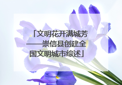 文明花开满城芳——崇信县创建全国文明城市综述
