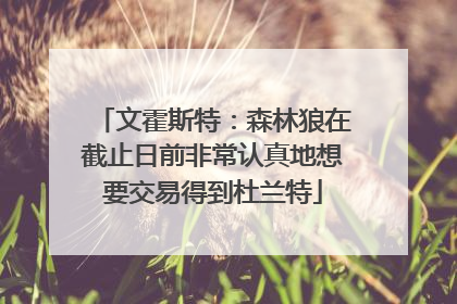 文霍斯特：森林狼在截止日前非常认真地想要交易得到杜兰特