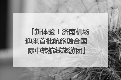 新体验！济南机场迎来首批航旅融合国际中转航线旅游团