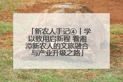 新农人手记④丨学以致用启新程 看湘潭新农人的文旅融合与产业升级之路