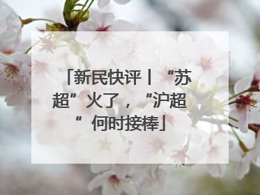 新民快评丨“苏超”火了，“沪超”何时接棒