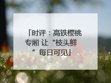 时评：高铁樱桃专厢 让“枝头鲜”每日可见