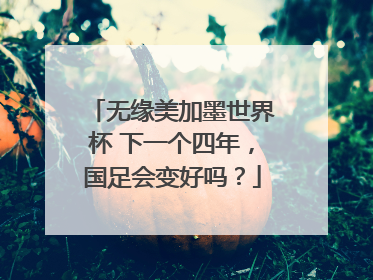 无缘美加墨世界杯 下一个四年，国足会变好吗？