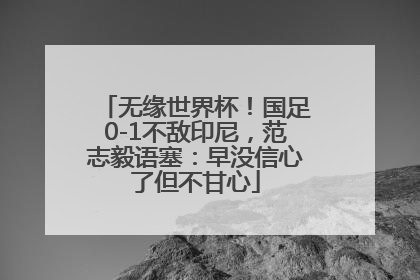 无缘世界杯！国足0-1不敌印尼，范志毅语塞：早没信心了但不甘心