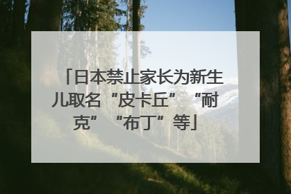 日本禁止家长为新生儿取名“皮卡丘”“耐克”“布丁”等