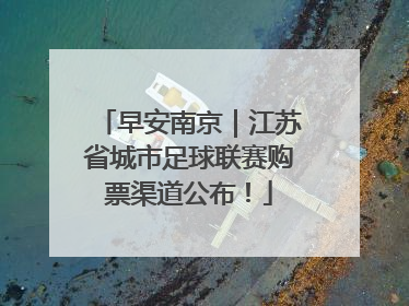 早安南京｜江苏省城市足球联赛购票渠道公布！