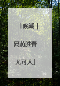 晚潮｜夏荫胜春尤可人