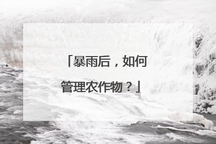 暴雨后，如何管理农作物？