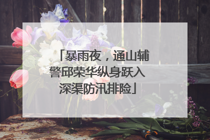暴雨夜，通山辅警邱荣华纵身跃入深渠防汛排险