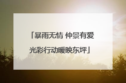 暴雨无情 仲景有爱 光彩行动暖映东坪