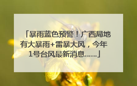暴雨蓝色预警！广西局地有大暴雨+雷暴大风，今年1号台风最新消息……