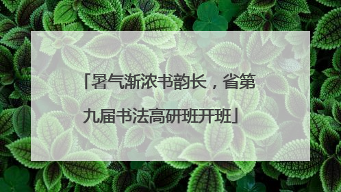 暑气渐浓书韵长，省第九届书法高研班开班
