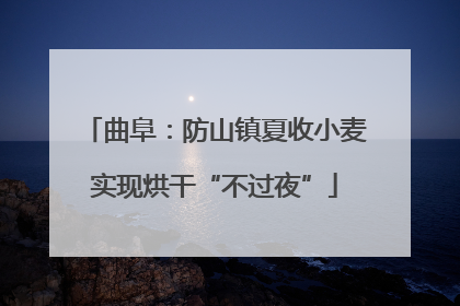 曲阜：防山镇夏收小麦实现烘干“不过夜”