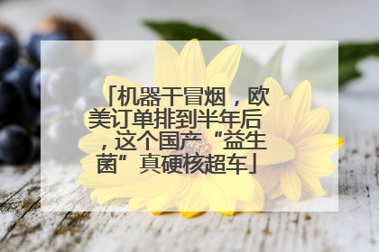 机器干冒烟，欧美订单排到半年后，这个国产“益生菌”真硬核超车