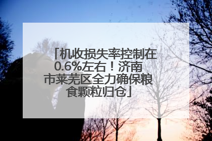 机收损失率控制在0.6%左右！济南市莱芜区全力确保粮食颗粒归仓