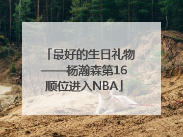 最好的生日礼物——杨瀚森第16顺位进入NBA