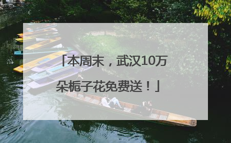 本周末，武汉10万朵栀子花免费送！